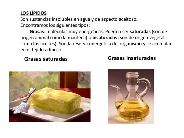 Tema 2 alimentación y nutrición