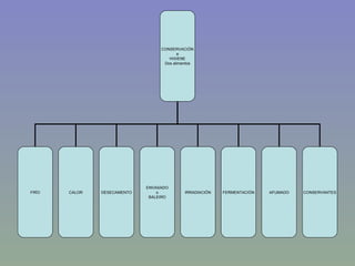CONSERVACIÓN e HIXIENE Dos alimentos FRÍO CALOR DESECAMENTO ENVASADO o BALEIRO IRRADIACIÓN FERMENTACIÓN AFUMADO CONSERVANTES 