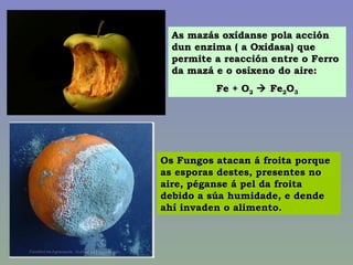 As mazás oxídanse pola acción dun enzima ( a Oxidasa) que permite a reacción entre o Ferro da mazá e o osíxeno do aire: Fe + O 2     Fe 2 O 3 Os Fungos atacan á froita porque as esporas destes, presentes no aire, péganse á pel da froita debido a súa humidade, e dende ahí invaden o alimento. 