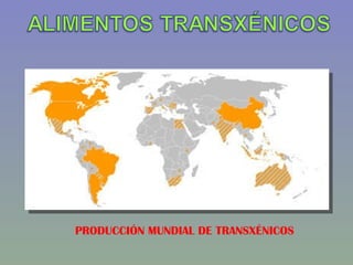 PRODUCCIÓN MUNDIAL DE TRANSXÉNICOS 