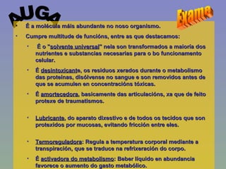 AUGA É a molécula máis abundante no noso organismo.  Cumpre multitude de funcións, entre as que destacamos: É o " solvente universal " nela son transformados a maioría dos nutrientes e substancias necesarias para o bo funcionamento celular. É  desintoxicant e, os residuos xerados durante o metabolismo das proteínas, disólvense no sangue e son removidos antes de que se acumulen en concentracións tóxicas.  É  amortecedora , basicamente das articulacións, xa que de feito protexe de traumatismos. Lubricante , do aparato dixestivo e de todos os tecidos que son protexidos por mucosas, evitando fricción entre eles. Termoreguladora : Regula a temperatura corporal mediante a transpiración, que se traduce na refrixeración do corpo.  É  activadora do metabolismo : Beber líquido en abundancia favorece o aumento do gasto metabólico. Exame 