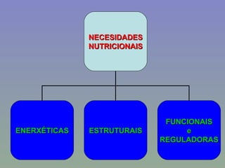 NECESIDADES NUTRICIONAIS ENERXÉTICAS ESTRUTURAIS FUNCIONAIS e REGULADORAS 