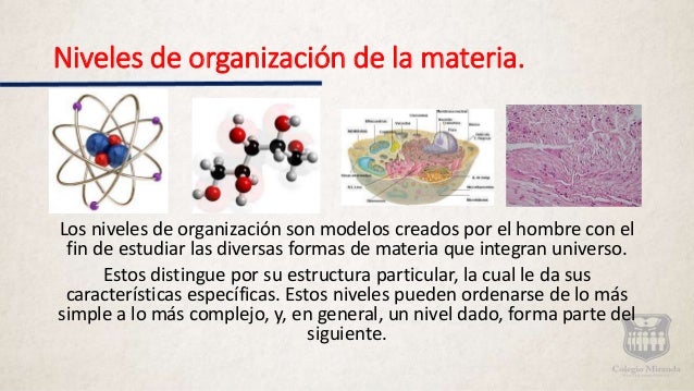 Niveles de organización de la materia.
