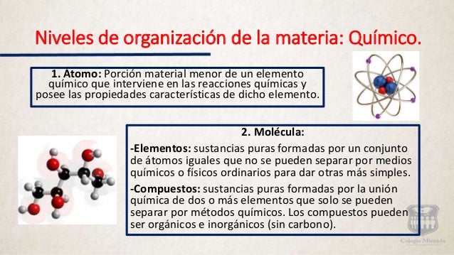 Niveles de organización de la materia.