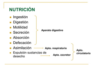 NUTRICIÓN
◼ Ingestión
◼ Digestión
◼ Motilidad
◼ Secreción
◼ Absorción
◼ Defecación
◼ Asimilación
◼ Expulsión sustancias de
desecho
Aparato digestivo
Apto. respiratorio
Apto. excretor
Apto.
circulatorio
 