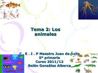 Tema 2: Los animales C . E . I . P Maestro Juan de Ávila 5º primaria Curso 2011/12 Belén González Alberca 