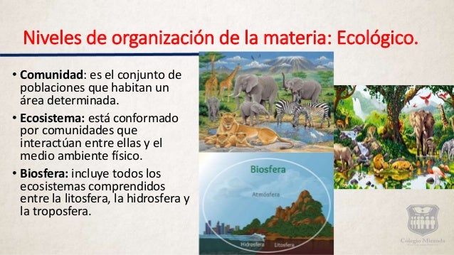 Niveles de organización de la materia.