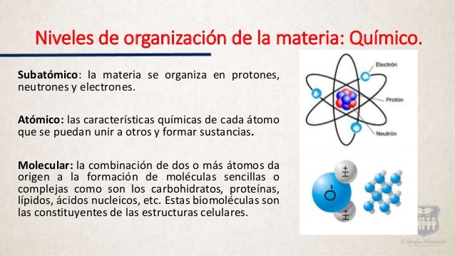 Niveles de organización de la materia.