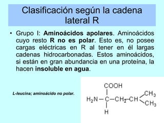 Clasificación según la cadena lateral R <ul><li>Grupo I:  Aminoácidos apolares . Aminoácidos cuyo resto  R no es polar . E...