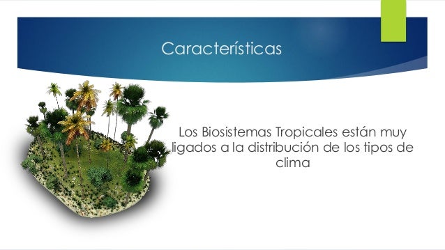 Tema 2 Biosistema Tropical