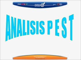 ANALISIS P E S T 