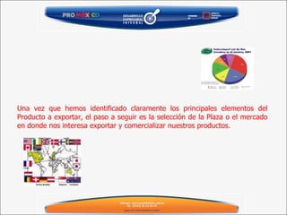 Una vez que hemos identificado claramente los principales elementos del Producto a exportar, el paso a seguir es la selección de la Plaza o el mercado en donde nos interesa exportar y comercializar nuestros productos. 