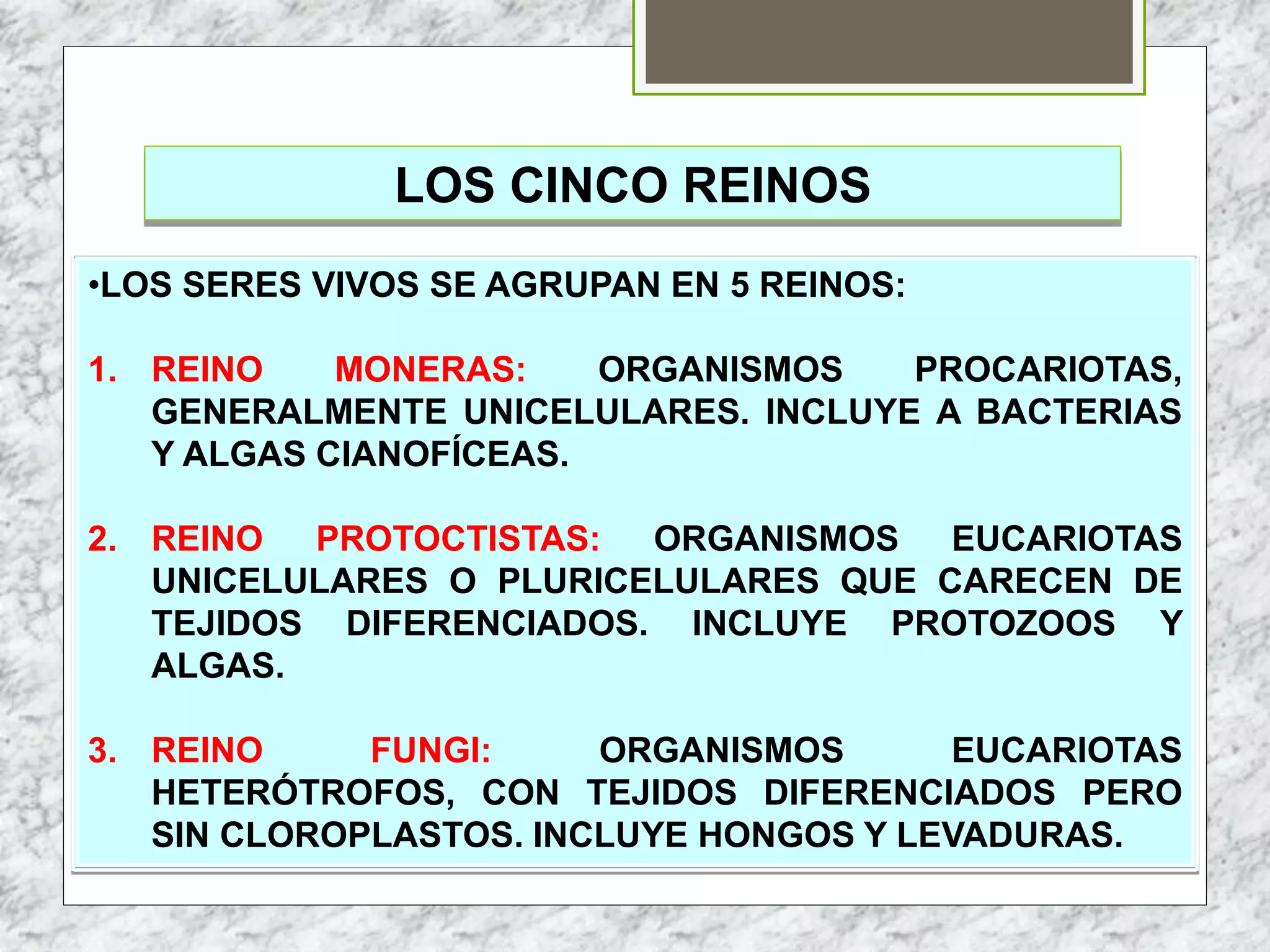 TEMA 2 CINCO REINOS.pptx