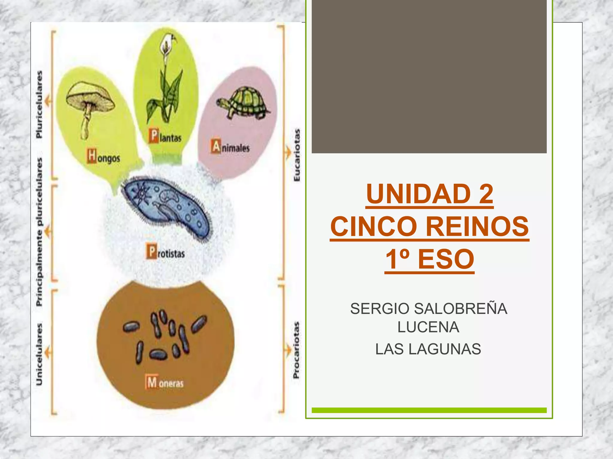 Examen moneras protoctistas y hongos 1º eso pdf (96) foto