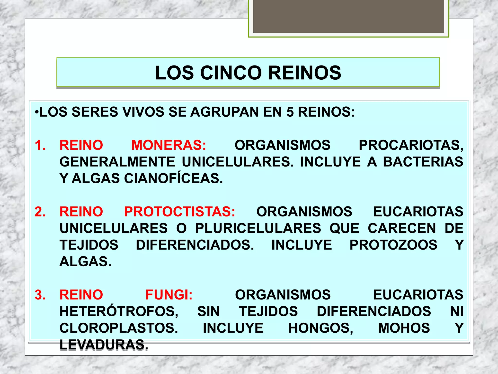 TEMA 2 CINCO REINOS.pptx