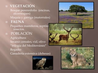 Tema 2 climas y paisajes de la tierra [autoguardado] | PPTX