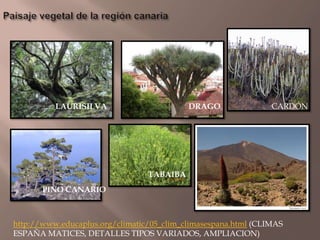 Tema 2 climas y paisajes de la tierra [autoguardado] | PPTX