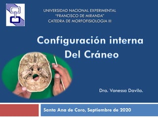 Dra. Vanessa Davila.
Santa Ana de Coro, Septiembre de 2020
UNIVERSIDAD NACIONAL EXPERIMENTAL
“FRANCISCO DE MIRANDA”
CATEDRA DE MORFOFISIOLOGIA III
 