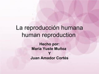 La reproducción humana human reproduction  Hecho por: María Yuste Muñoz  Y Juan Amador Cortés 