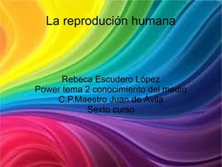 La reprodución humana



      Rebeca Escudero López
Power tema 2 conocimiento del medio
    C.P.Maestro Juan de Ávila
           Sexto curso
 