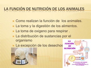 LA FUNCIÓN DE NUTRICIÓN DE LOS ANIMALES

       Como realizan la función de los animales.
       La toma y la digestión de los alimentos.
       La toma de oxigeno para respirar .
       La distribución de sustancias por el
        organismo
       La excepción de los desechos
 