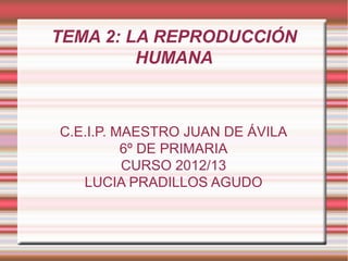 TEMA 2: LA REPRODUCCIÓN
         HUMANA



C.E.I.P. MAESTRO JUAN DE ÁVILA
          6º DE PRIMARIA
          CURSO 2012/13
   LUCIA PRADILLOS AGUDO
 