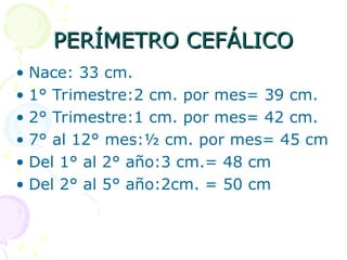 PERÍMETRO CEFÁLICO
PERÍMETRO CEFÁLICO
• Nace: 33 cm.
• 1° Trimestre:2 cm. por mes= 39 cm.
• 2° Trimestre:1 cm. por mes= 42 cm.
• 7° al 12° mes:½ cm. por mes= 45 cm
• Del 1° al 2° año:3 cm.= 48 cm
• Del 2° al 5° año:2cm. = 50 cm
 