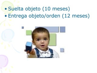 • Suelta objeto (10 meses)
• Entrega objeto/orden (12 meses)
 