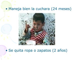 • Maneja bien la cuchara (24 meses)
• Se quita ropa o zapatos (2 años)
 