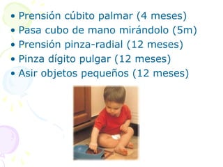 • Prensión cúbito palmar (4 meses)
• Pasa cubo de mano mirándolo (5m)
• Prensión pinza-radial (12 meses)
• Pinza dígito pulgar (12 meses)
• Asir objetos pequeños (12 meses)
 