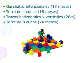 • Garabatos intencionales (18 meses)
• Torre de 4 cubos (18 meses)
• Trazos horizontales y verticales (20m)
• Torre de 8 cubos (24 meses)
 
