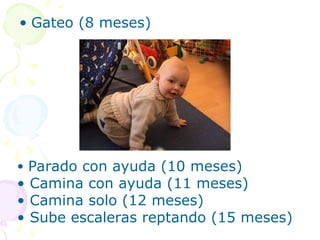 • Gateo (8 meses)
• Parado con ayuda (10 meses)
• Camina con ayuda (11 meses)
• Camina solo (12 meses)
• Sube escaleras reptando (15 meses)
 
