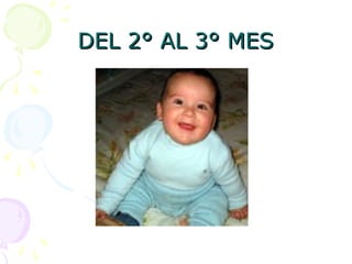 DEL 2° AL 3° MES
DEL 2° AL 3° MES
 