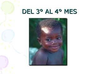 DEL 3° AL 4° MES
DEL 3° AL 4° MES
 