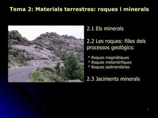 Tema 2: Materials terrestres: roques i minerals 2.1 Els minerals 2.2 Les roques: filles dels processos geològics: * Roques magmàtiques * Roques metamòrfiques * Roques sedimentàries 2.3 Jaciments minerals 