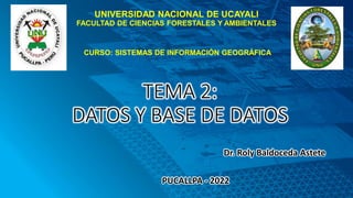 TEMA 2:
DATOS Y BASE DE DATOS
Dr. Roly Baldoceda Astete
PUCALLPA - 2022
UNIVERSIDAD NACIONAL DE UCAYALI
FACULTAD DE CIENCIAS FORESTALES Y AMBIENTALES
CURSO: SISTEMAS DE INFORMACIÓN GEOGRÁFICA
 