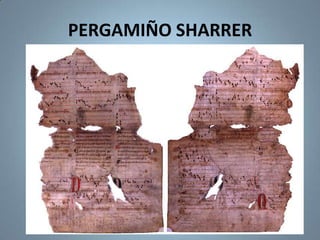 PERGAMIÑO SHARRER

 