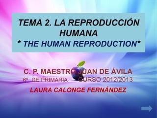 TEMA 2. LA REPRODUCCIÓN
         HUMANA
* THE HUMAN REPRODUCTION*


 C. P. MAESTRO JUAN DE ÁVILA
 6º DE PRIMARIA   CURSO 2012/2013
   LAURA CALONGE FERNÁNDEZ
 