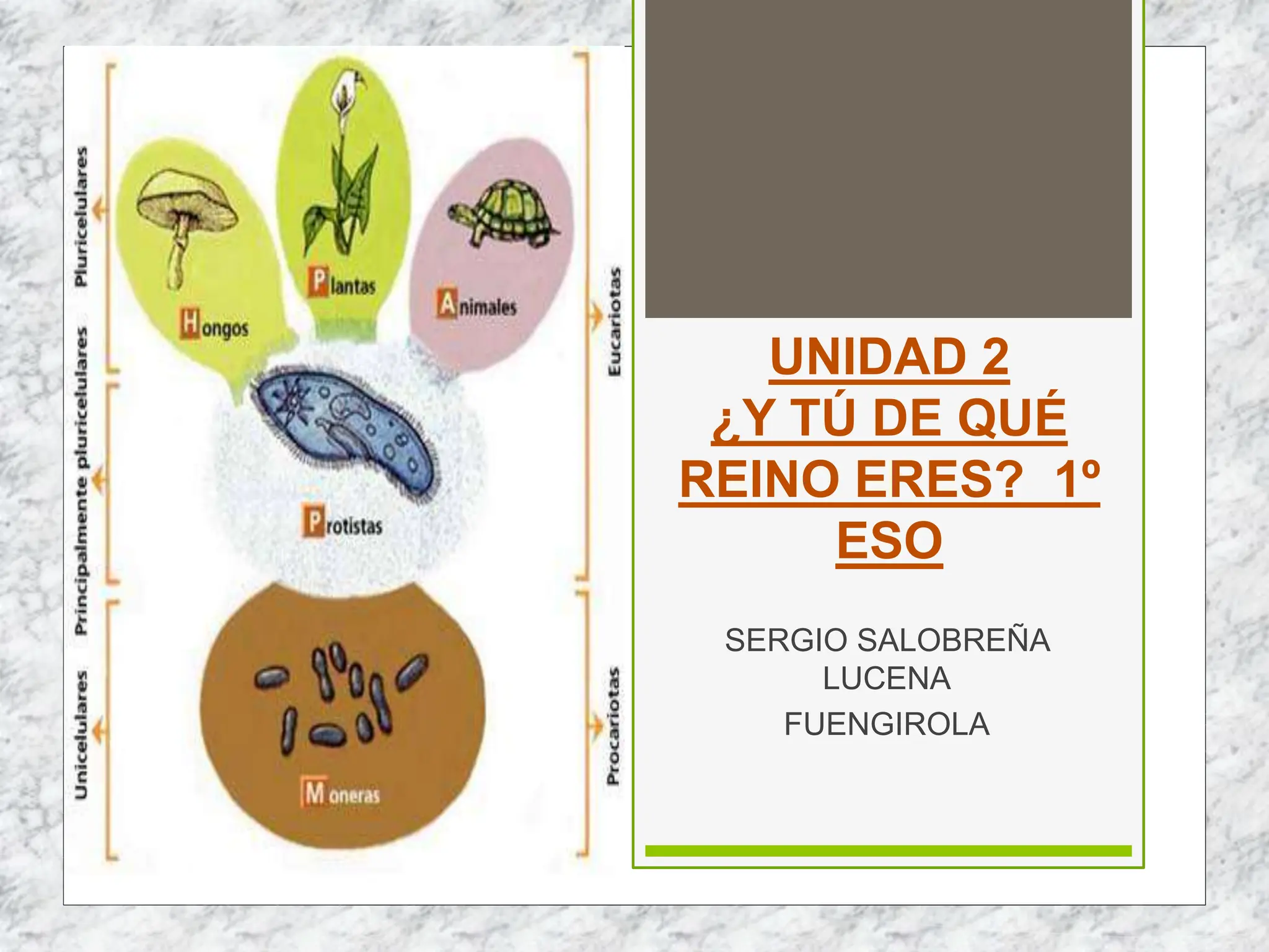 TEMA 2 DE QUÉ REINO ERES.pptx