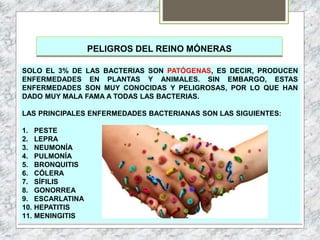 PELIGROS DEL REINO MÓNERAS
SOLO EL 3% DE LAS BACTERIAS SON PATÓGENAS, ES DECIR, PRODUCEN
ENFERMEDADES EN PLANTAS Y ANIMALES. SIN EMBARGO, ESTAS
ENFERMEDADES SON MUY CONOCIDAS Y PELIGROSAS, POR LO QUE HAN
DADO MUY MALA FAMA A TODAS LAS BACTERIAS.
LAS PRINCIPALES ENFERMEDADES BACTERIANAS SON LAS SIGUIENTES:
1. PESTE
2. LEPRA
3. NEUMONÍA
4. PULMONÍA
5. BRONQUITIS
6. CÓLERA
7. SÍFILIS
8. GONORREA
9. ESCARLATINA
10. HEPATITIS
11. MENINGITIS
 