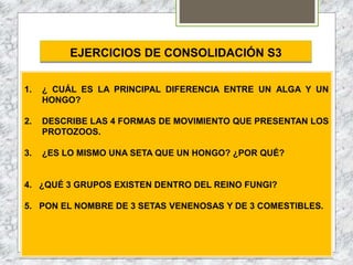 EJERCICIOS DE CONSOLIDACIÓN S3
1. ¿ CUÁL ES LA PRINCIPAL DIFERENCIA ENTRE UN ALGA Y UN
HONGO?
2. DESCRIBE LAS 4 FORMAS DE MOVIMIENTO QUE PRESENTAN LOS
PROTOZOOS.
3. ¿ES LO MISMO UNA SETA QUE UN HONGO? ¿POR QUÉ?
4. ¿QUÉ 3 GRUPOS EXISTEN DENTRO DEL REINO FUNGI?
5. PON EL NOMBRE DE 3 SETAS VENENOSAS Y DE 3 COMESTIBLES.
 