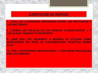 EJERCICIOS DE REPASO
7. ¿CUÁL ES LA PRINCIPAL DIFERENCIA ENTRE LOS PROTOZOOS Y
LAS BACTERIAS?
8. ¿TIENEN LAS CÉLULAS DE LOS HONGOS CLOROPLASTOS? ¿ Y
LAS ALGAS? RAZONA TU RESPUESTA.
9. ¿QUÉ SON LOS LÍQUENES? A MENUDO SE UTILIZAN COMO
INDICADORES DEL NIVEL DE CONTAMINACIÓN. INVESTIGA SOBRE
ELLO.
10. PON 2 ACTIVIDADES BENEFICIOSAS Y 2 MALIGNAS REALIZADAS
POR LOS HONGOS.
 
