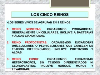 LOS CINCO REINOS
•LOS SERES VIVOS SE AGRUPAN EN 5 REINOS:
1. REINO MONERAS: ORGANISMOS PROCARIOTAS,
GENERALMENTE UNICELULARES. INCLUYE A BACTERIAS
Y ALGAS CIANOFÍCEAS.
2. REINO PROTOCTISTAS: ORGANISMOS EUCARIOTAS
UNICELULARES O PLURICELULARES QUE CARECEN DE
TEJIDOS DIFERENCIADOS. INCLUYE PROTOZOOS Y
ALGAS.
3. REINO FUNGI: ORGANISMOS EUCARIOTAS
HETERÓTROFOS, SIN TEJIDOS DIFERENCIADOS NI
CLOROPLASTOS. INCLUYE HONGOS, MOHOS Y
LEVADURAS.
 