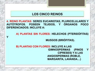 LOS CINCO REINOS
4. REINO PLANTAS: SERES EUCARIOTAS, PLURICELULARES Y
AUTÓTROFOS. POSEEN TEJIDOS, Y ÓRGANOS POCO
DIFERENCIADOS. INCLUYE A:
A) PLANTAS SIN FLORES: HELECHOS (PTERIDÓFITAS)
Y
MUSGOS (BRIÓFITAS).
B) PLANTAS CON FLORES: INCLUYE A LAS
GIMNOSPERMAS (PINOS Y
CIPRESES) Y A LAS
ANGIOSPERMAS (ROBLE,
MARGARITA, LAVANDA…)
 