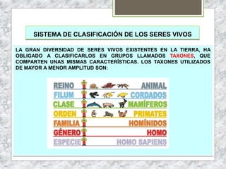 SISTEMA DE CLASIFICACIÓN DE LOS SERES VIVOS
LA GRAN DIVERSIDAD DE SERES VIVOS EXISTENTES EN LA TIERRA, HA
OBLIGADO A CLASIFICARLOS EN GRUPOS LLAMADOS TAXONES, QUE
COMPARTEN UNAS MISMAS CARACTERÍSTICAS. LOS TAXONES UTILIZADOS
DE MAYOR A MENOR AMPLITUD SON:
 
