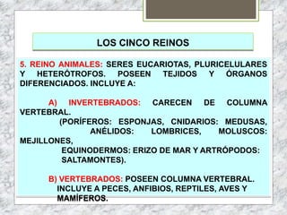 LOS CINCO REINOS
5. REINO ANIMALES: SERES EUCARIOTAS, PLURICELULARES
Y HETERÓTROFOS. POSEEN TEJIDOS Y ÓRGANOS
DIFERENCIADOS. INCLUYE A:
A) INVERTEBRADOS: CARECEN DE COLUMNA
VERTEBRAL.
(PORÍFEROS: ESPONJAS, CNIDARIOS: MEDUSAS,
ANÉLIDOS: LOMBRICES, MOLUSCOS:
MEJILLONES,
EQUINODERMOS: ERIZO DE MAR Y ARTRÓPODOS:
SALTAMONTES).
B) VERTEBRADOS: POSEEN COLUMNA VERTEBRAL.
INCLUYE A PECES, ANFIBIOS, REPTILES, AVES Y
MAMÍFEROS.
 