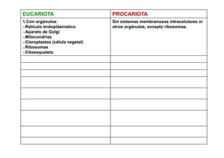 EUCARIOTA                        PROCARIOTA
1.Con orgánulos:                 Sin sistemas membranosos intracelulares ni
oRetículo endoplásmatico
 R tí l     d lá      ti         otros orgánulos, excepto ribosomas.
                                  t       á l          t ib
oAparato de Golgi
oMitocondrias
oCloroplastos (célula vegetal)
oRibosomas
oCitoesqueleto
 