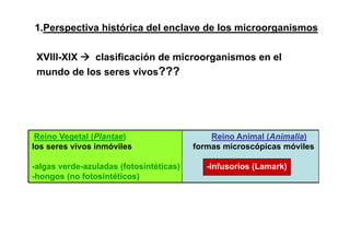 1.Perspectiva histórica del enclave de los microorganismos

 XVIII-XIX  clasificación de microorganismos en el
 mundo de los seres vivos???




 Reino Vegetal (Plantae)                     Reino Animal (Animalia)
los seres vivos inmóviles                formas microscópicas móviles

-algas verde-azuladas (fotosintéticas)      -Infusorios (Lamark)
-hongos (no fotosintéticos)
     g (                   )
 