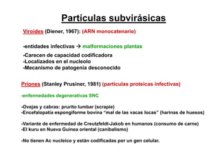Partículas subvirásicas
Viroides (Diener, 1967): (ARN monocatenario)

-entidades infectivas      malformaciones plantas
-Carecen de capacidad codificadora
-Localizados en el nucleolo
 L   li d        l    l l
-Mecanismo de patogenia desconocido


Priones (Stanley Prusiner, 1981) (partículas proteicas infectivas)

-enfermedades degenerativas SNC
 enfermedades

-Ovejas y cabras: prurito lumbar (scrapie)
-Encefalopatía espongiforme bovina “mal de las vacas locas” (harinas de huesos)
                                      mal            locas

-Variante de enfermedad de Creutzfeldt-Jakob en humanos (consumo de carne)
-El kuru en Nueva Guinea oriental (canibalismo)
 El

-No tienen Ac nucleico y están codificadas por un gen celular.
 