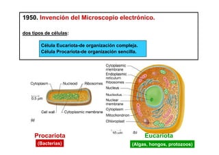 1950. Invención del Microscopio electrónico.

dos tipos de células:

        Célula Eucariota-de organización compleja.
        Célula Procariota-de organización sencilla.




     Procariota                                       Eucariota
      (Bacterias)                               (Algas, hongos, protozoos)
 